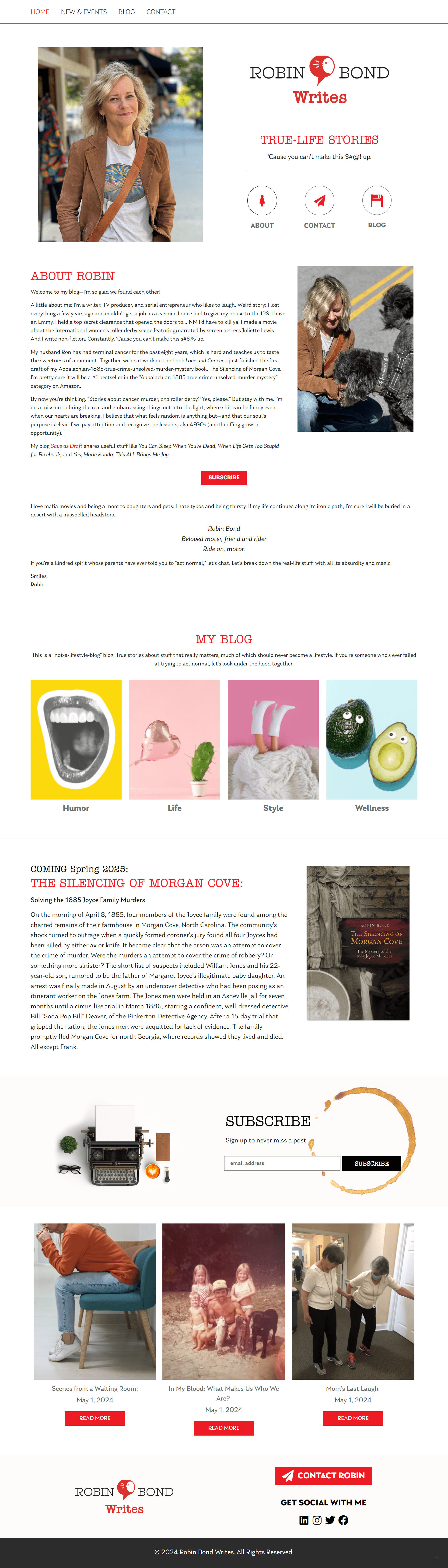 a screenshot of a blog